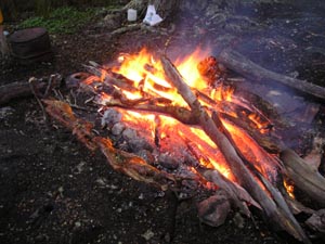 lamb roast