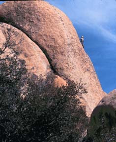 Paul Leading Loose Lady, Joshua Tree