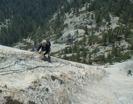 coral climbing the dike