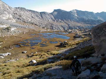 lake turning into a meadow.