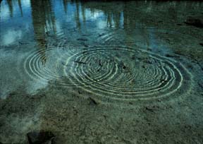 two sets of waves add together &copy; 1999