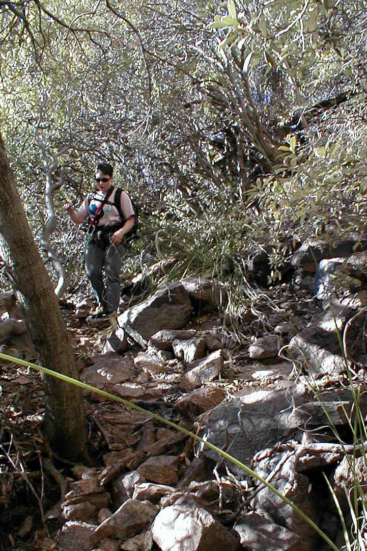 Lions Ledge Bushwhack