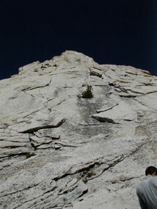 looking up at the climbing route on Cathedral