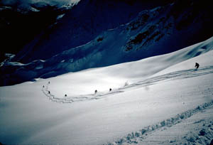 Down the hill on powder snow photo © 2002 Hal Murray