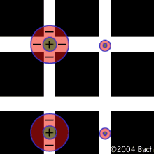 Hermann grid Explanation